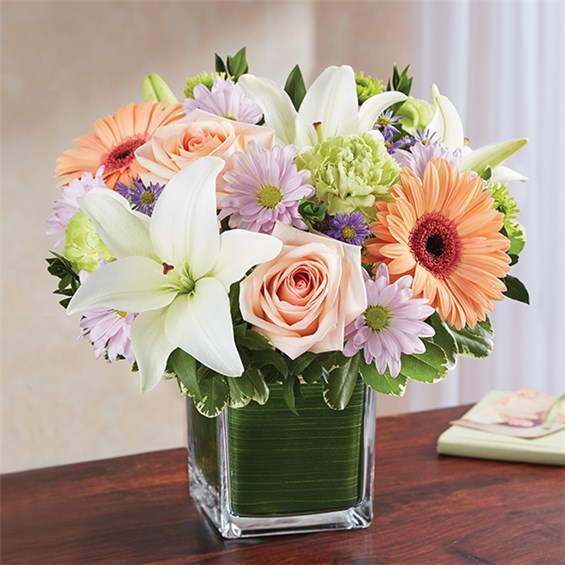 148691m_HR_fd_05_16_17